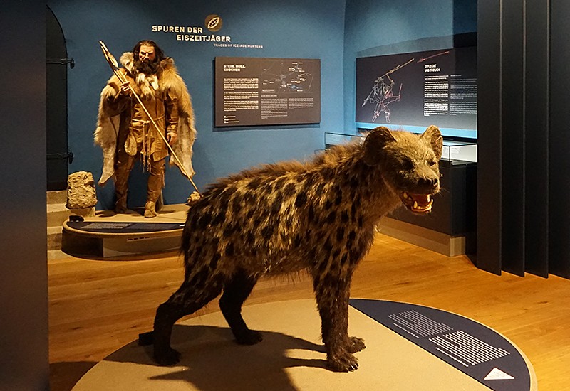 Auf den Spuren des Eiszeitjägers und der Höhlenhyäne